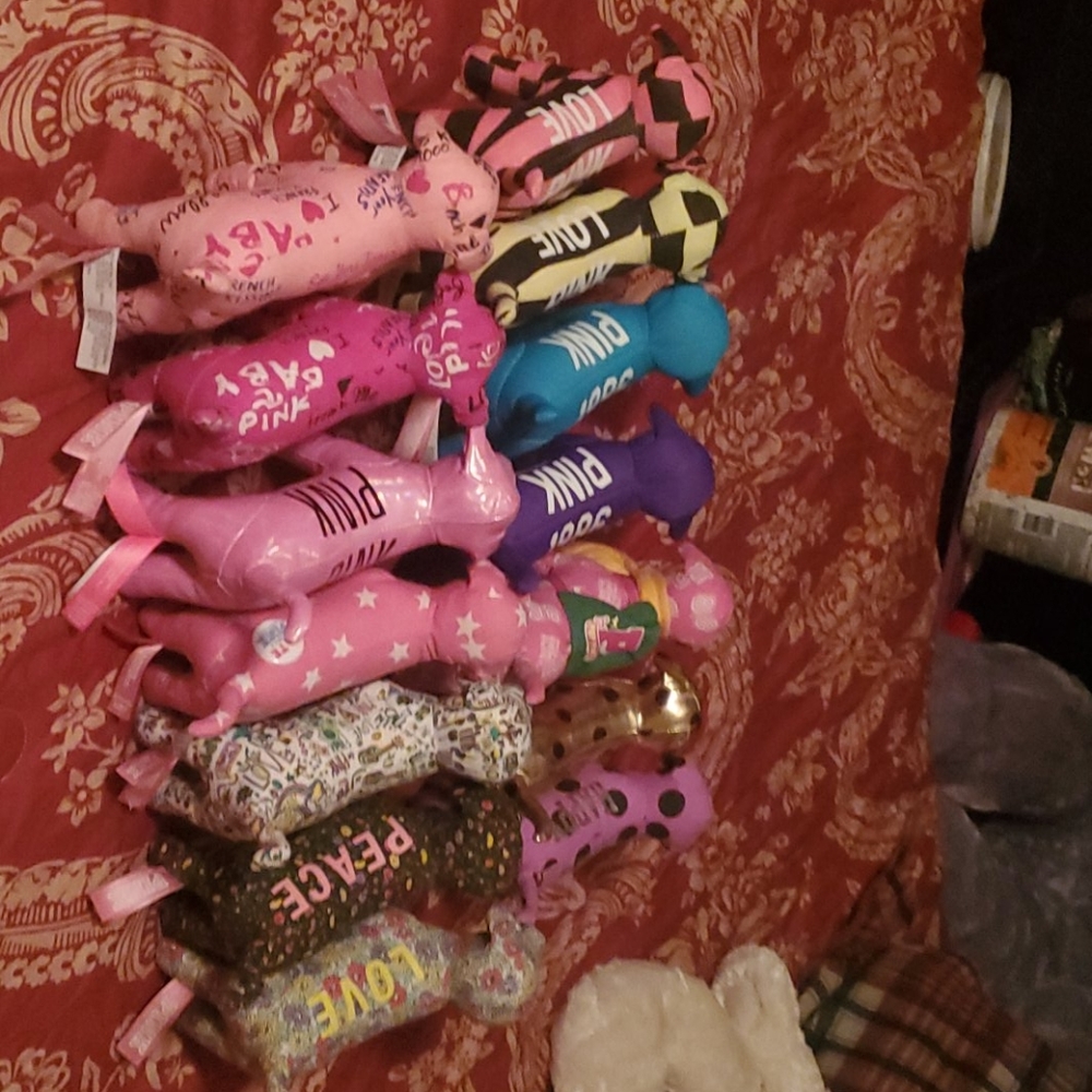 Vs pink dogs OFFERS WELCOME